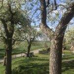 IMG_0095 (1)